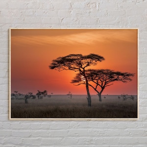 Real Photo, Tanzania Print, Tanzania Wall Art, Tanzania Poster, Tanzania Photo, Tanzania Poster Print, Tanzania Wall Decor, Africa