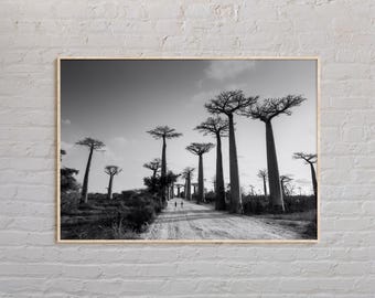 Black and White, Madagascar Print, Madagascar Wall Art, Madagascar Poster, Madagascar Photo, Madagascar Poster Print, Madagascar Decor