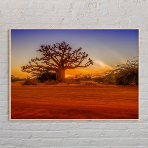 Real Photo, Senegal Print, Senegal Wall Art, Senegal Poster, Senegal Photo, Senegal Poster Print, Senegal Wall Decor, Africa Poster Print