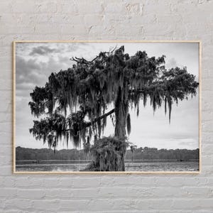 Black and White, Louisiana Print, Louisiana Wall Art, Louisiana Poster, Louisiana Photo, Louisiana Poster Print, Louisiana Wall Decor, USA