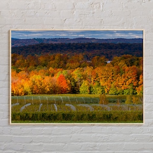 Real Photo, Traverse City Print, Traverse City Wall Art, Traverse City Poster, Traverse City Photo, Michigan Wall Decor, USA Poster