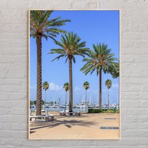 Real Photo, St. Petersburg Print, St. Petersburg Wall Art, St. Petersburg Poster, St. Petersburg Photo, St. Petersburg Wall Decor