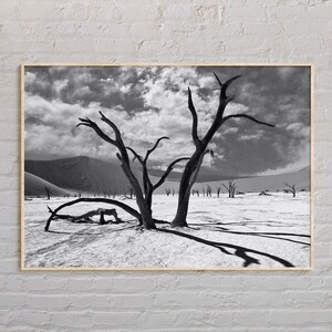 Black and White, Namibia Print, Namibia Wall Art, Namibia Poster, Namibia Photo, Namibia Poster Print, Namibia Wall Decor, Africa Poster