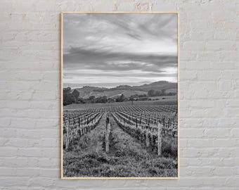 Bianco e nero, stampa della Napa Valley, arte murale della Napa Valley, poster della Napa Valley, foto della Napa Valley, stampa poster della Napa Valley