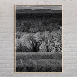 Black and White, Traverse City Print, Traverse City Wall Art, Traverse City Poster, Traverse City Photo, Michigan Wall Decor, USA Poster