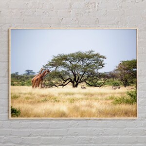 Real Photo, Somalia Print, Somalia Wall Art, Somalia Poster, Somalia Photo, Somalia Poster Print, Somalia Wall Decor, Africa Poster