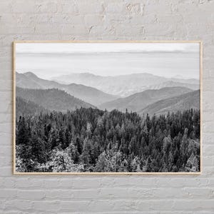 Black and White, Sequoia National Park Print, Sequoia Wall Art, Sequoia Poster, Sequoia Photo, Sequoia Poster Print, California Poster