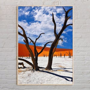 Real Photo, Namibia Print, Namibia Wall Art, Namibia Poster, Namibia Photo, Namibia Poster Print, Namibia Wall Decor, Africa Poster