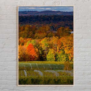Real Photo, Traverse City Print, Traverse City Wall Art, Traverse City Poster, Traverse City Photo, Michigan Wall Decor, USA Poster