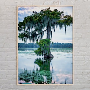 Real Photo, Louisiana Print, Louisiana Wall Art, Louisiana Poster, Louisiana Photo, Louisiana Poster Print, Louisiana Wall Decor, USA