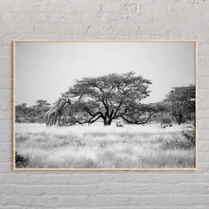 Schwarzweiß, Somalia Print, Somalia Wandkunst, Somalia Poster, Somalia Foto, Somalia Poster Druck, Somalia Wanddekoration, Afrika Poster