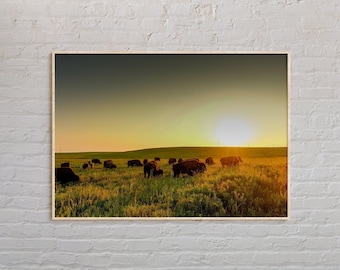 Real Photo, Oklahoma Print, Oklahoma Wall Art, Oklahoma Poster, Oklahoma Photo, Oklahoma Poster Print, Oklahoma Wall Decor, USA Print