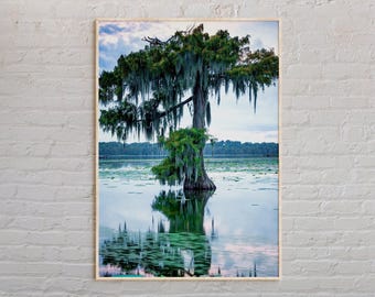 Real Photo, Louisiana Print, Louisiana Wall Art, Louisiana Poster, Louisiana Photo, Louisiana Poster Print, Louisiana Wall Decor, USA