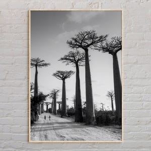Black and White, Madagascar Print, Madagascar Wall Art, Madagascar Poster, Madagascar Photo, Madagascar Poster Print, Madagascar Decor