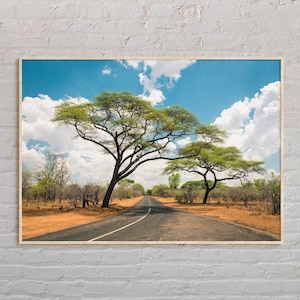 Foto reale, stampa dello Zimbabwe, arte murale dello Zimbabwe, poster dello Zimbabwe, foto dello Zimbabwe, stampa poster dello Zimbabwe, decorazione murale dello Zimbabwe, Africa