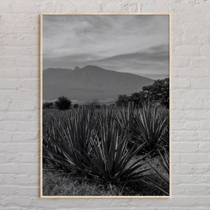 Black and White, Jalisco Print, Jalisco Wall Art, Jalisco Poster, Jalisco Photo, Jalisco Poster Print, Jalisco Wall Decor, Mexico Poster