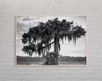 Black and White, Louisiana Print, Louisiana Wall Art, Louisiana Poster, Louisiana Photo, Louisiana Poster Print, Louisiana Wall Decor, USA