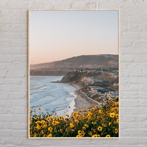 Real Photo, Dana Point Print, Dana Point Wall Art, Dana Point Poster, Dana Point Photo, Dana Point Poster Print, Dana Point Decor