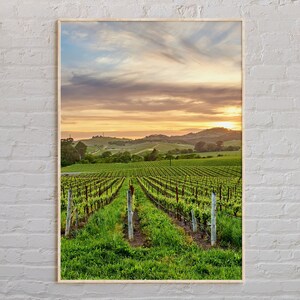 Echte foto, Napa Valley-afdruk, Napa Valley-muurkunst, Napa Valley-poster, Napa Valley-foto, Napa Valley-posterafdruk