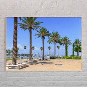 Real Photo, St. Petersburg Print, St. Petersburg Wall Art, St. Petersburg Poster, St. Petersburg Photo, St. Petersburg Wall Decor