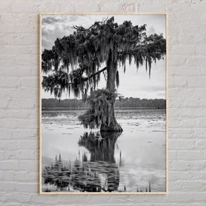 Black and White, Louisiana Print, Louisiana Wall Art, Louisiana Poster, Louisiana Photo, Louisiana Poster Print, Louisiana Wall Decor, USA
