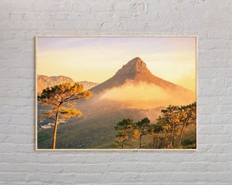 Real Photo, South Africa Print, South Africa Wall Art, South Africa Poster, South Africa Photo, South Africa Wall Decor, Cape Town