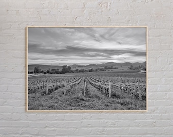 Black and White, Napa Valley Print, Napa Valley Wall Art, Napa Valley Poster, Napa Valley Photo, Napa Valley Poster Print