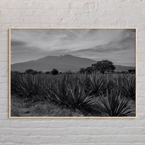 Black and White, Jalisco Print, Jalisco Wall Art, Jalisco Poster, Jalisco Photo, Jalisco Poster Print, Jalisco Wall Decor, Mexico Poster