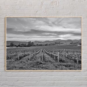 Zwart-wit, Napa Valley-print, Napa Valley-muurkunst, Napa Valley-poster, Napa Valley-foto, Napa Valley-posterprint