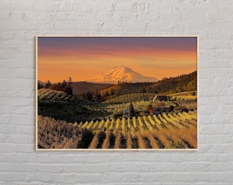Real Photo, Oregon Print, Oregon Wall Art, Oregon Poster, Oregon Photo, Oregon Poster Print, Oregon Wall Decor, USA Poster Print