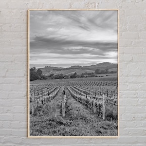 Zwart-wit, Napa Valley-print, Napa Valley-muurkunst, Napa Valley-poster, Napa Valley-foto, Napa Valley-posterprint
