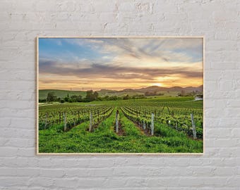 Echtes Foto, Napa Valley Druck, Napa Valley Wandkunst, Napa Valley Poster, Napa Valley Foto, Napa Valley Poster Druck