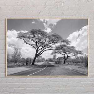 Bianco e nero, stampa dello Zimbabwe, arte murale dello Zimbabwe, poster dello Zimbabwe, foto dello Zimbabwe, stampa poster dello Zimbabwe, decorazioni murali dello Zimbabwe, Africa