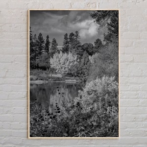 Black and White, Davis Print, Davis Wall Art, Davis Poster, Davis Photo, Davis Poster Print, Davis Wall Decor, California Poster Print