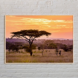 Real Photo, Africa Print, Africa Wall Art, Africa Poster, Africa Photo, Africa Poster Print, Africa Wall Decor, World Poster Print