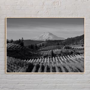 Black and White, Oregon Print, Oregon Wall Art, Oregon Poster, Oregon Photo, Oregon  Poster Print, Oregon Wall Decor, USA Poster Print