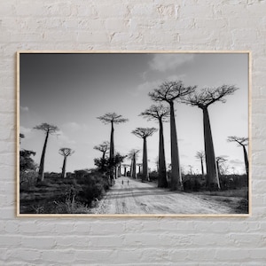 Black and White, Madagascar Print, Madagascar Wall Art, Madagascar Poster, Madagascar Photo, Madagascar Poster Print, Madagascar Decor