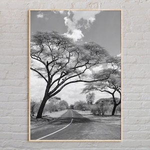 Bianco e nero, stampa dello Zimbabwe, arte murale dello Zimbabwe, poster dello Zimbabwe, foto dello Zimbabwe, stampa poster dello Zimbabwe, decorazioni murali dello Zimbabwe, Africa