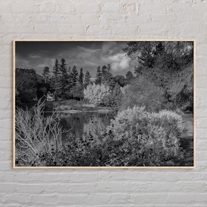 Black and White, Davis Print, Davis Wall Art, Davis Poster, Davis Photo, Davis Poster Print, Davis Wall Decor, California Poster Print