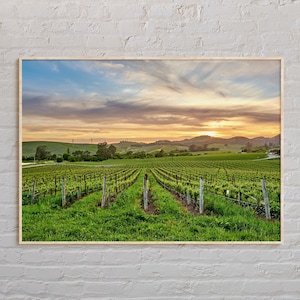 Echte foto, Napa Valley-afdruk, Napa Valley-muurkunst, Napa Valley-poster, Napa Valley-foto, Napa Valley-posterafdruk