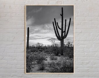 Black and White, Arizona Print, Arizona Wall Art, Arizona Poster, Arizona Photo, Arizona Poster Print, Arizona Wall Decor, USA Print