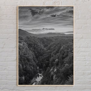 Blanco y negro, Impresión de Georgia, Arte mural de Georgia, Póster de Georgia, Foto de Georgia, Impresión de póster de Georgia, Decoración de pared de Georgia, Estados Unidos