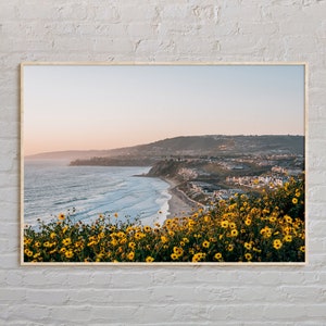 Real Photo, Dana Point Print, Dana Point Wall Art, Dana Point Poster, Dana Point Photo, Dana Point Poster Print, Dana Point Decor