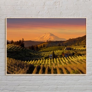 Echtes Foto,Oregon Druck,Oregon Wandkunst,Oregon Poster,Oregon Foto,Oregon Poster Druck,Oregon Wand-Dekor,USA Poster-Druck