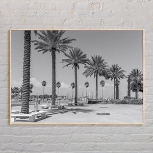 Black and White, St. Petersburg Print, St. Petersburg Wall Art, St. Petersburg Poster, St. Petersburg Photo, St. Petersburg Wall Decor