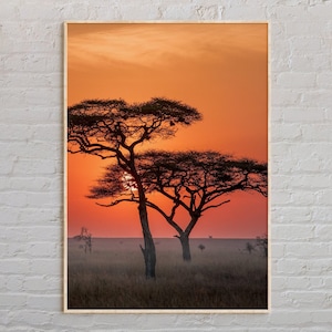 Real Photo, Tanzania Print, Tanzania Wall Art, Tanzania Poster, Tanzania Photo, Tanzania Poster Print, Tanzania Wall Decor, Africa
