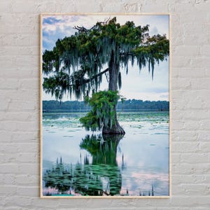 Real Photo, Louisiana Print, Louisiana Wall Art, Louisiana Poster, Louisiana Photo, Louisiana Poster Print, Louisiana Wall Decor, USA