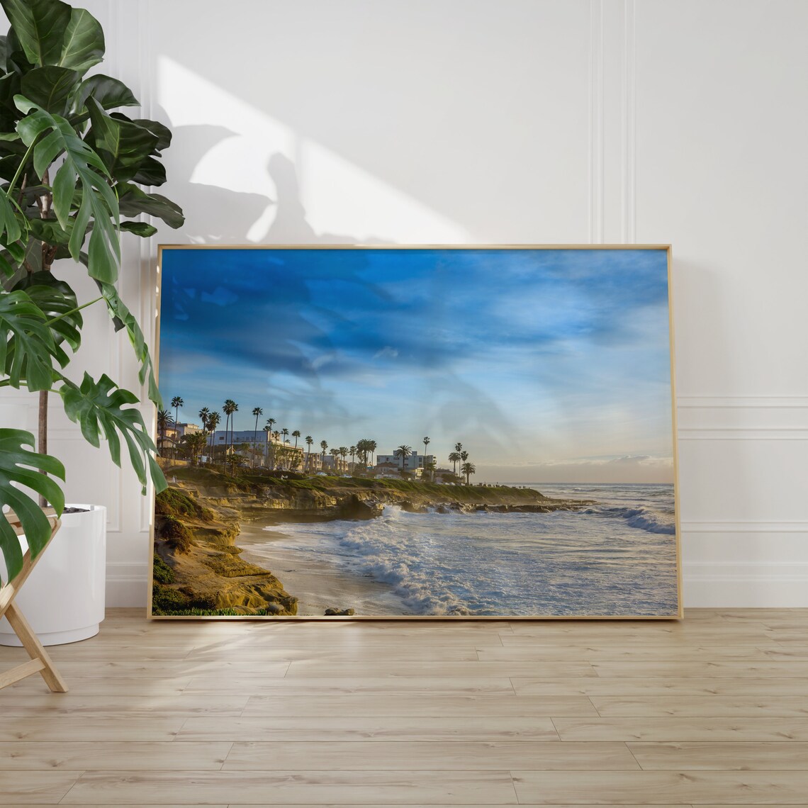 San Diego Photos And Prints