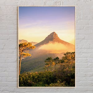 Real Photo, South Africa Print, South Africa Wall Art, South Africa Poster, South Africa Photo, South Africa Wall Decor, Cape Town