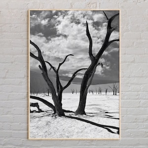 Noir et blanc, impression Namibie, art mural Namibie, affiche Namibie, photo Namibie, impression affiche Namibie, décoration murale Namibie, affiche Afrique